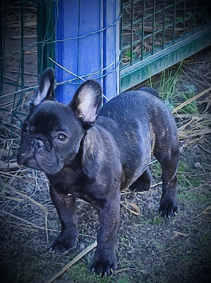 UN PETIT BOUT DE CHOU